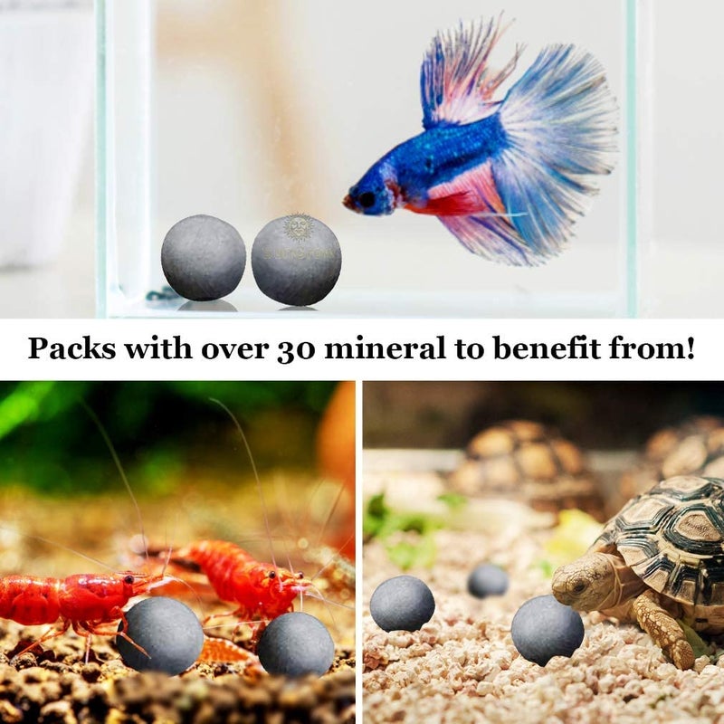 SunGrow Snail and Crayfish Energy Balls, Enhance Color, Calcium-Rich Gray Pearls for Invertebrates, Functional and Beneficial Aquarium Decor, 10-Pieces per Pack - Image 5